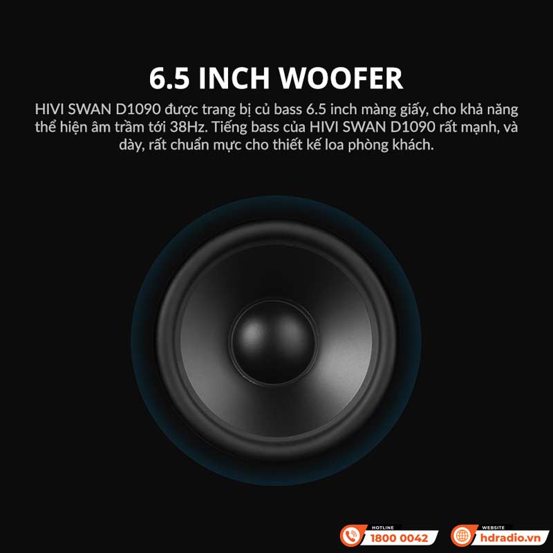 Bass Loa Hivi Swan D1090