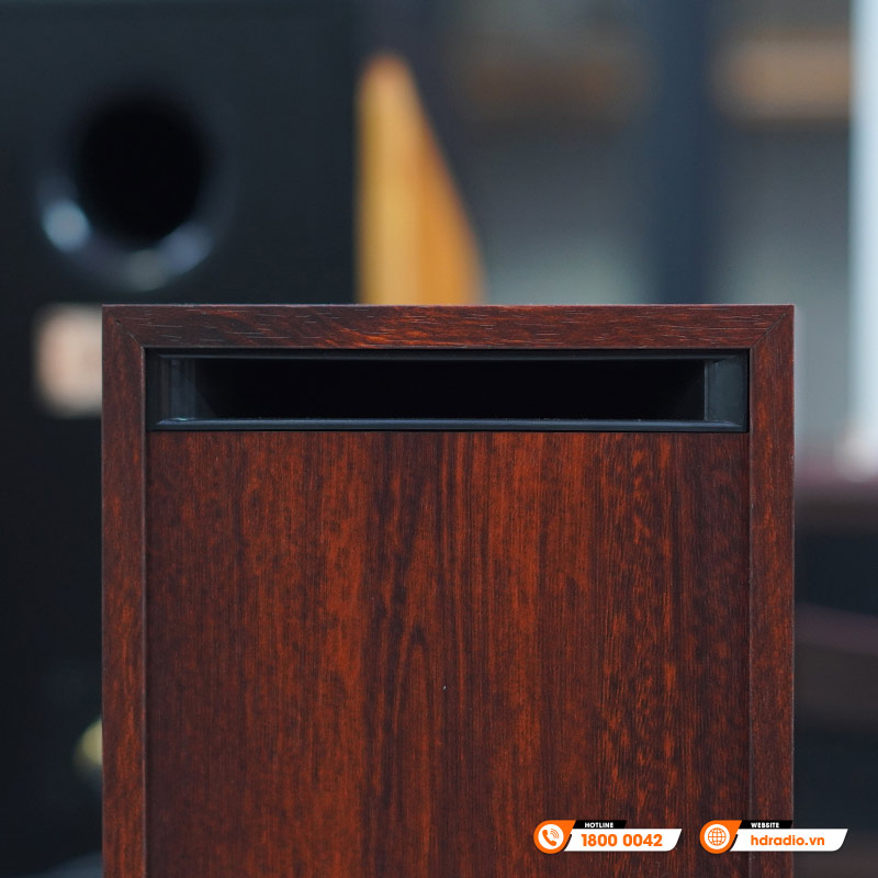 Loa Hivi Swan D1100, Bass 10cm, Công suất 62W, Bluetooth, Optical, Coaxial và Line-10