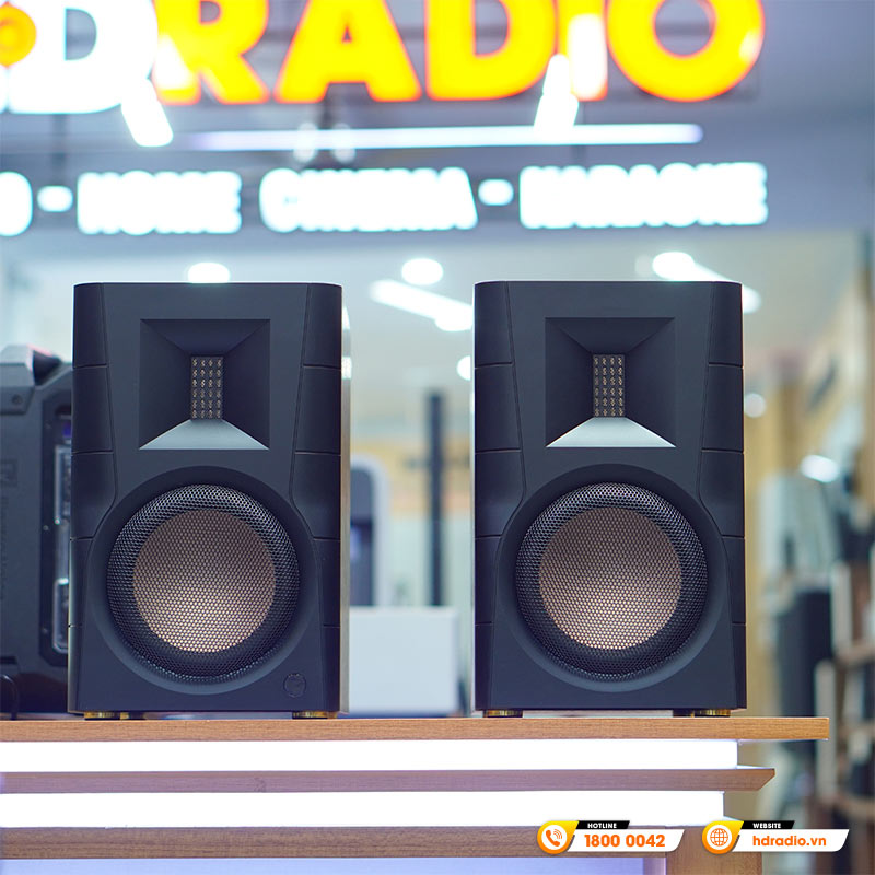 Loa Hivi Swan D300, Công suất 300W, Bluetooth, Optical, Coaxial, RCA, XLR-1