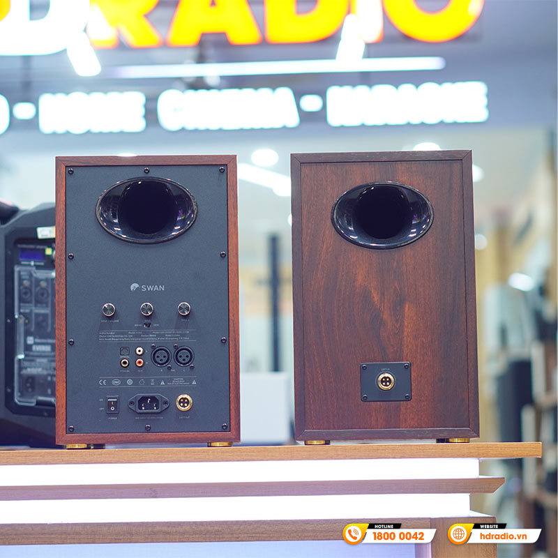 Loa Hivi Swan D300, Công suất 300W, Bluetooth, Optical, Coaxial, RCA, XLR-8