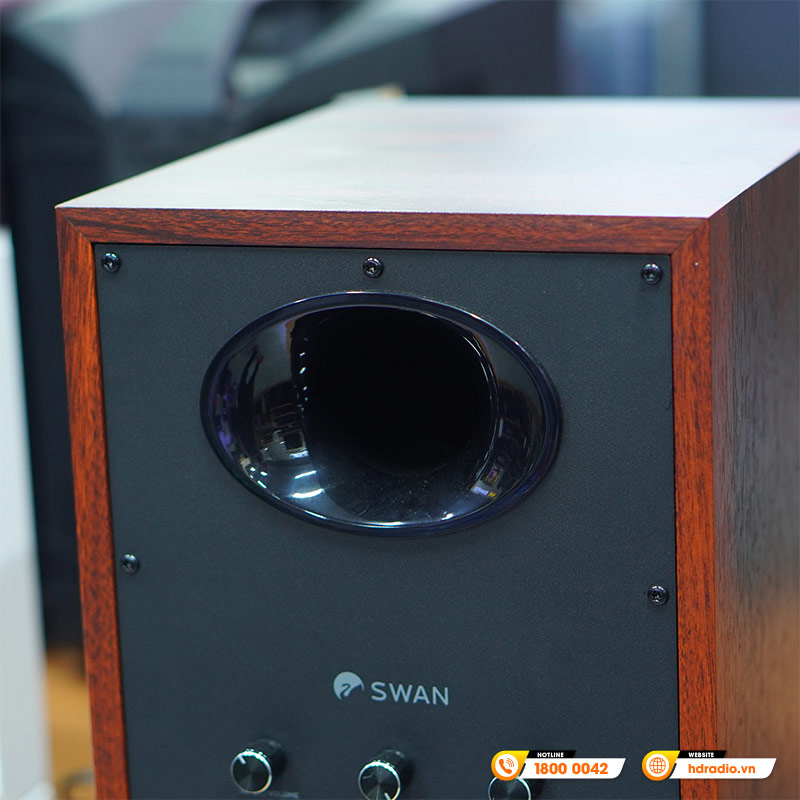 Loa Hivi Swan D300, Công suất 300W, Bluetooth, Optical, Coaxial, RCA, XLR-9