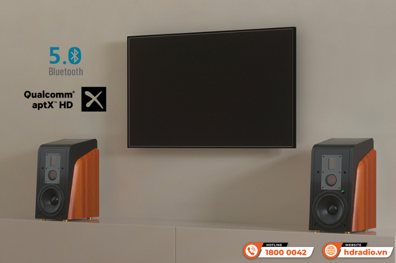 Loa Hivi Swan M300MKII