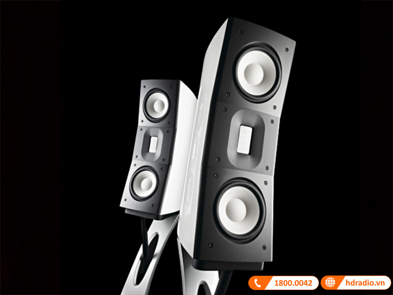 Loa Raidho C centric