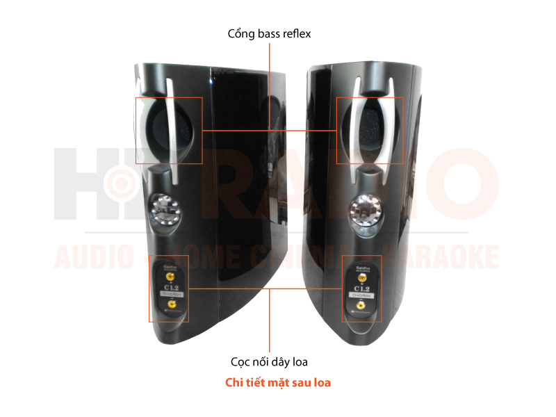 Chú thích Loa Raidho C1.2