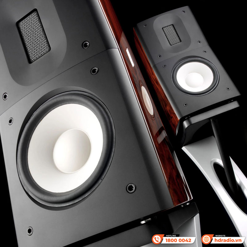 Hệ thống Loa Raidho C1.2