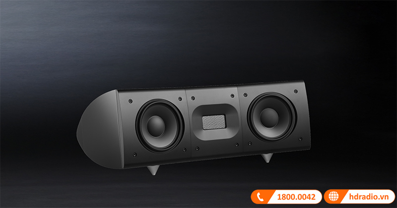 Loa Raidho D centric