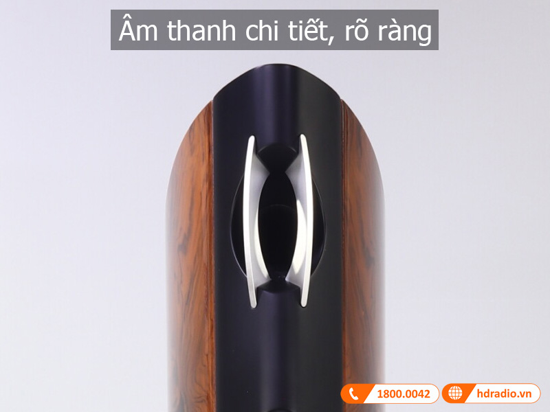 Tinh nang loa D2.1