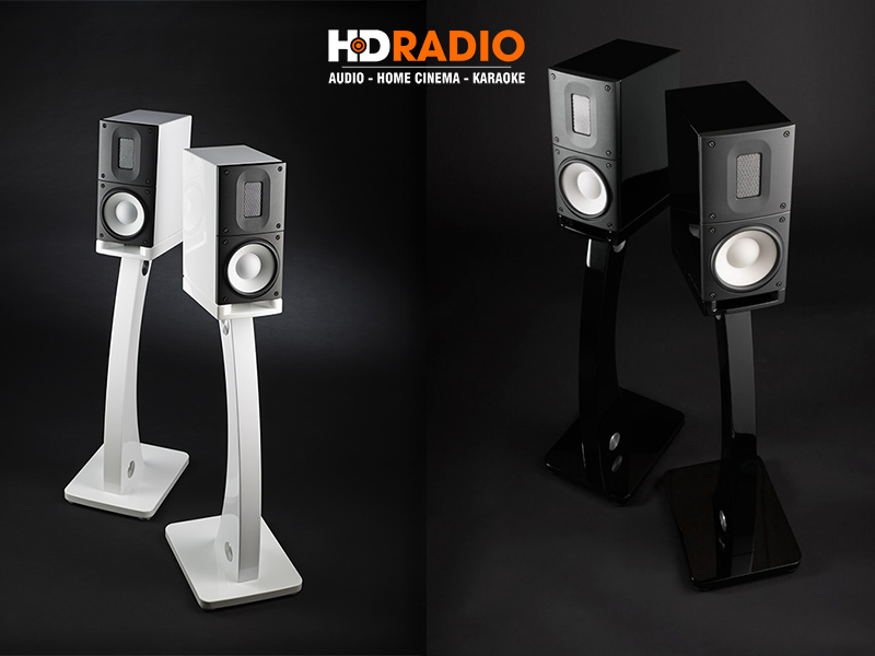 Loa Bookshelf Raidho X1