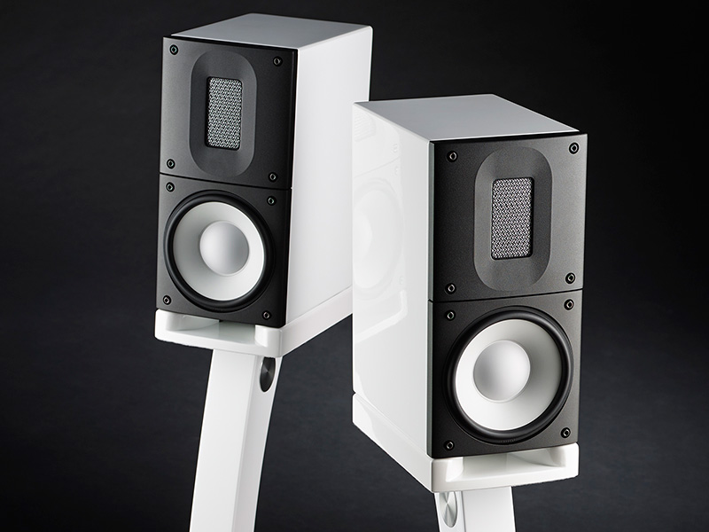 Loa Bookshelf Raidho X1