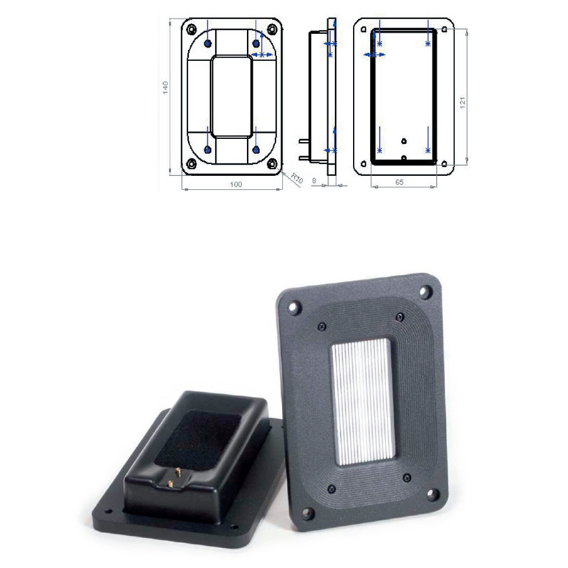 Loa Bookshelf Raidho X1
