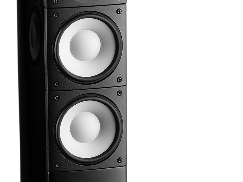 Loa Đứng Raidho X2