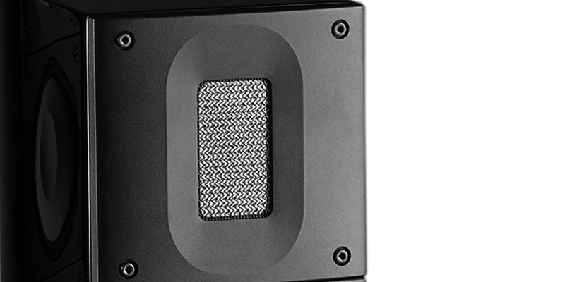 Loa Đứng Raidho X2