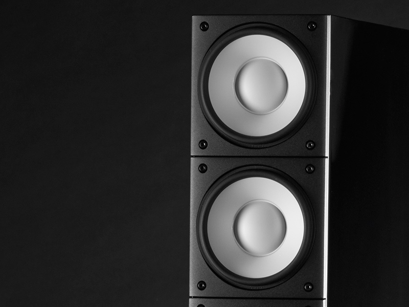 Loa Đứng Raidho X3