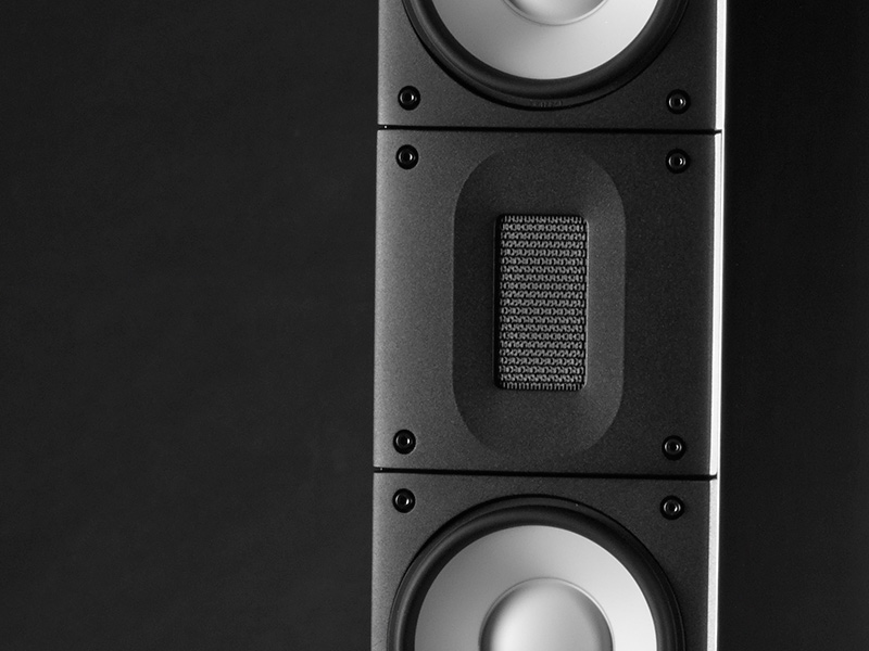 Loa Đứng Raidho X3