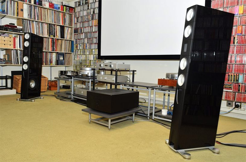 Loa Đứng Raidho X3