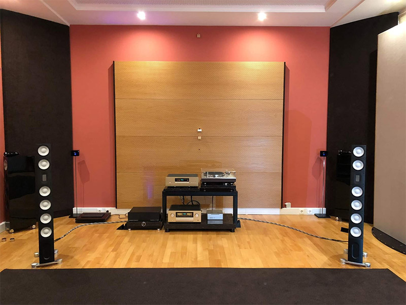 Loa Đứng Raidho X5