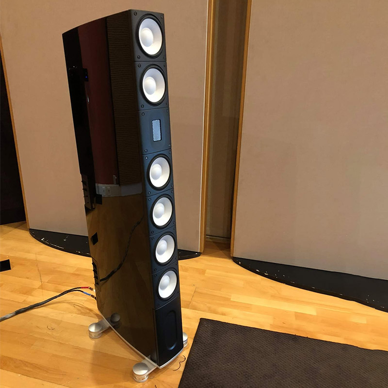 Loa Đứng Raidho X5