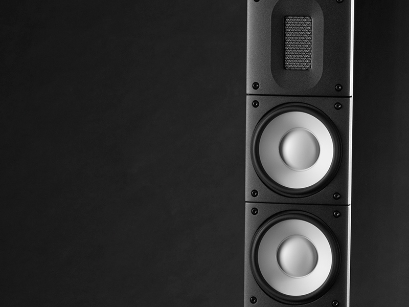 Loa Đứng Raidho X5