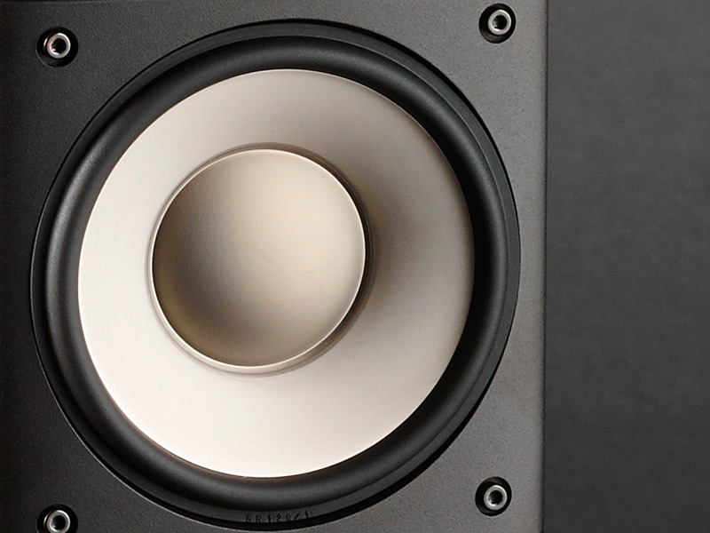 Loa Bookshelf Raidho XT1