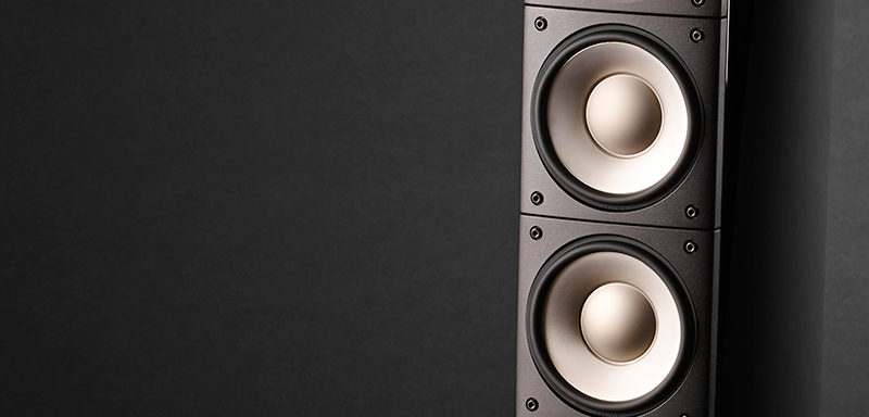 2 loa bass của Raidho XT2 Loa Raidho XT2