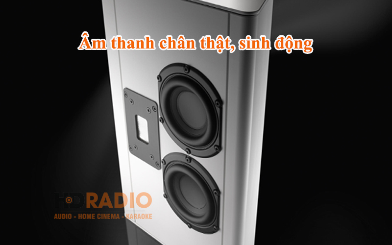 am thanh loa surround piega ap 3