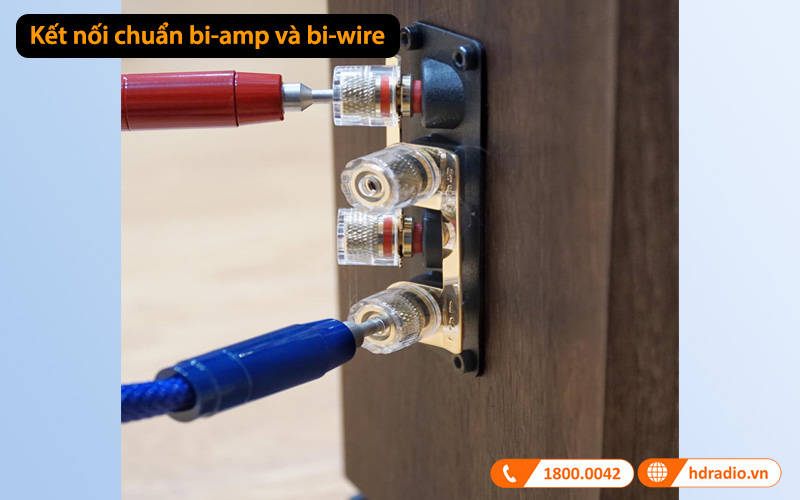 kết nối đơn giản