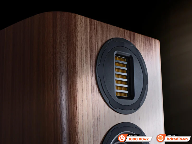 Loa Wharfedale Evo 5.4