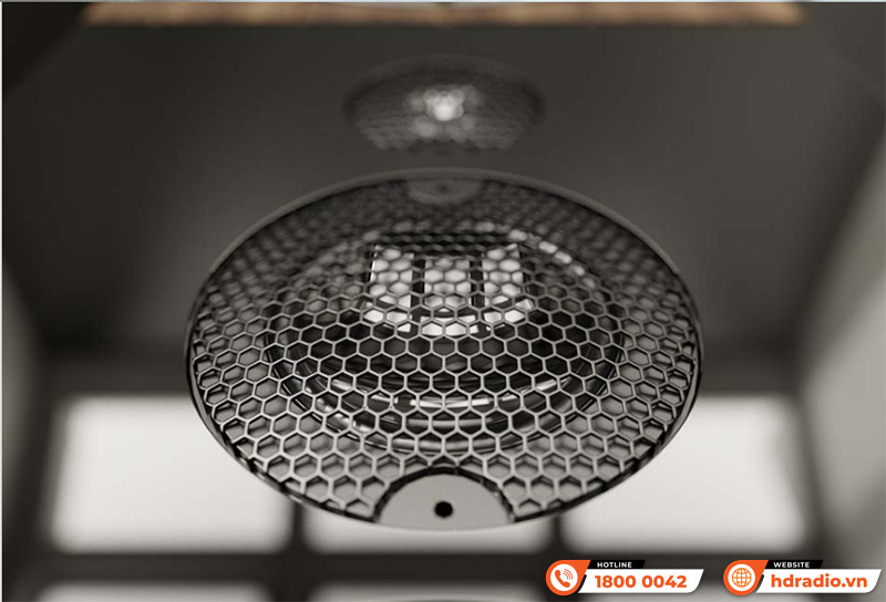 Loa Marten Coltrane Supreme 2