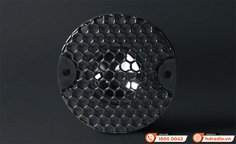 Loa Marten Mingus Twenty