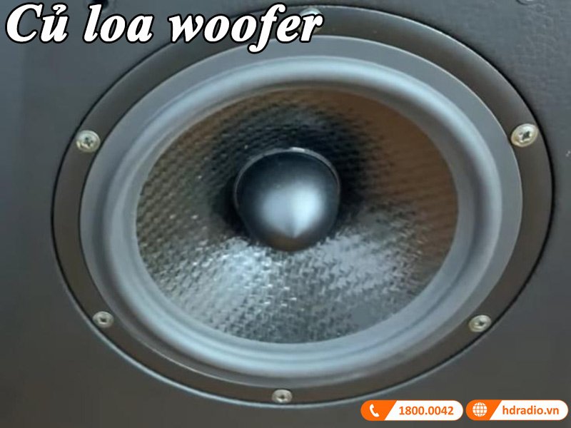 cu loa woofer