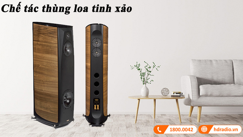 thung loa duoc che tac tinh xao