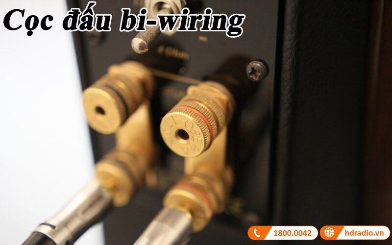 loa opera callas ket noi de dang loa opera callas ket noi de dang