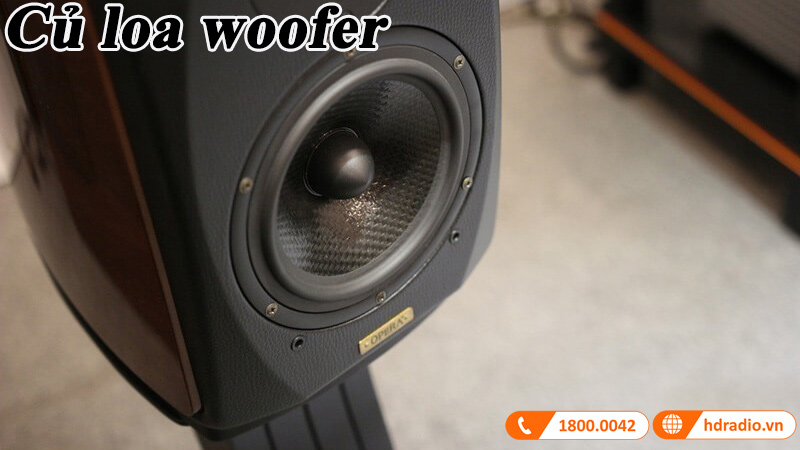 cu loa woofer cua Opera Callas cu loa woofer cua Opera Callas