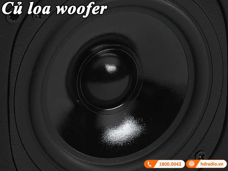 cu loa woofer cua loa opera centrale