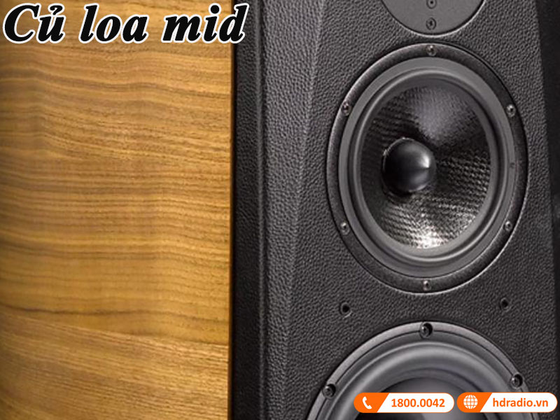 cu loa mid cua opera grand callas