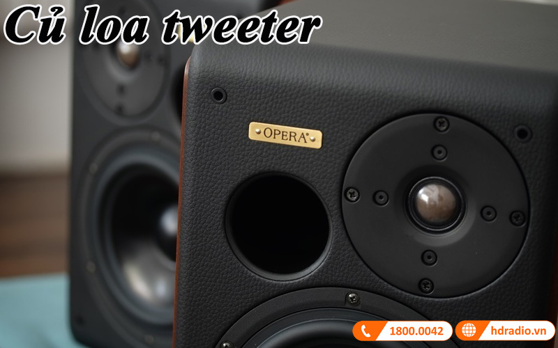 cu loa tweeter kich thuoc 2.54cm