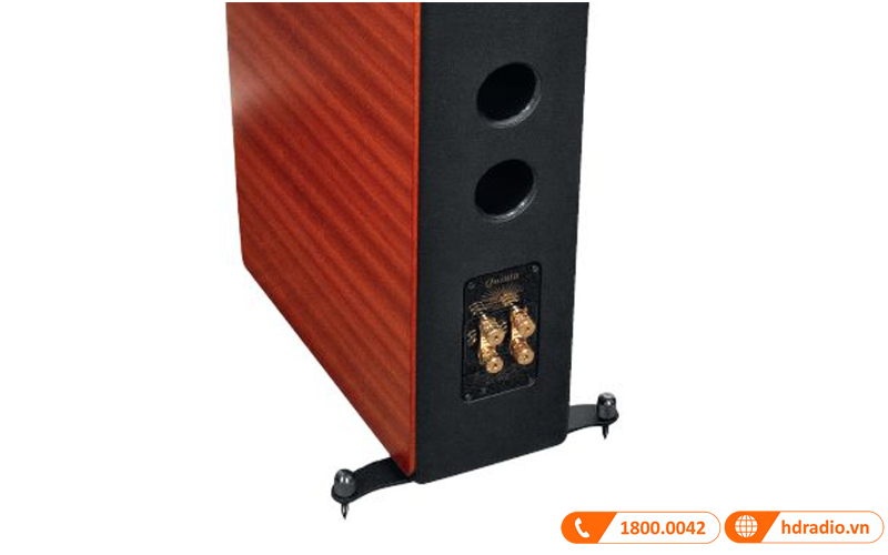 cac coc dau cua loa quinta se