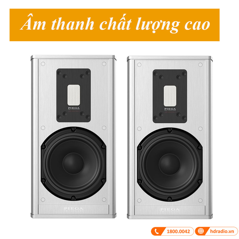 Loa Piega Premium Wireless 301 Gen 2