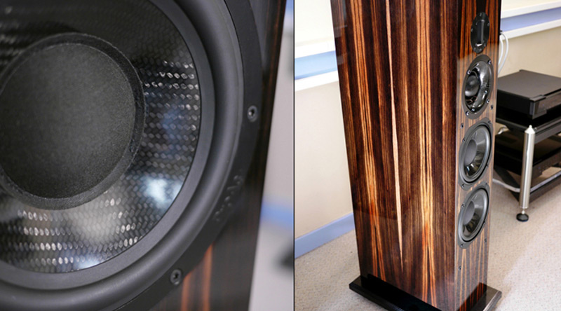 Loa đứng ProAc Carbon Pro 8