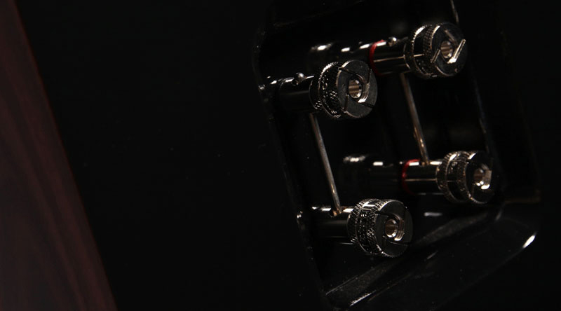 Loa đứng ProAc Carbon Pro 6