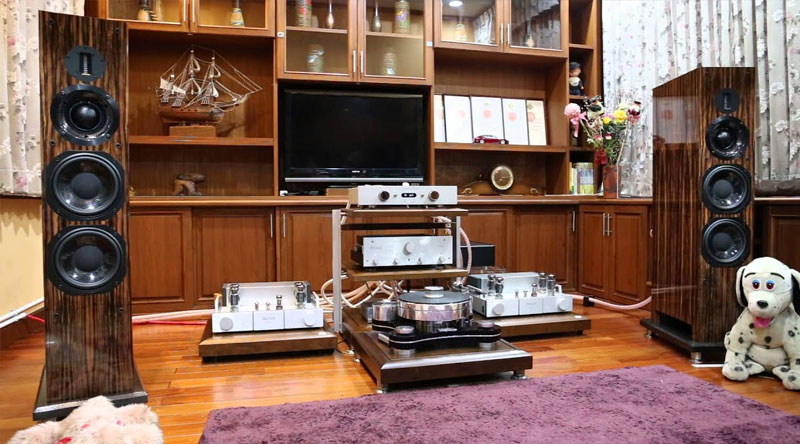 Loa ProAc Carbon Pro 8