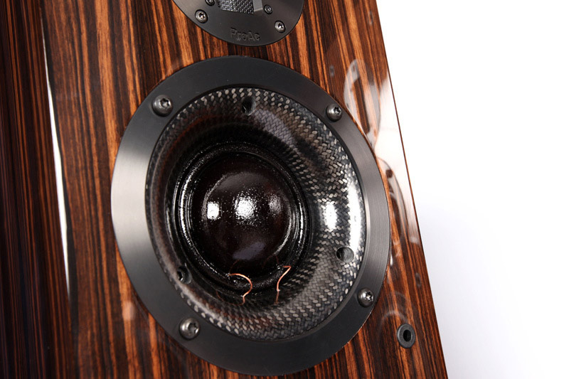 Loa ProAc Carbon Pro 8