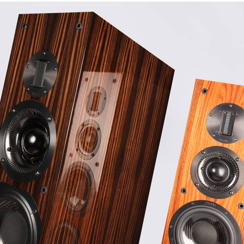 Loa đứng ProAc Carbon Pro 8