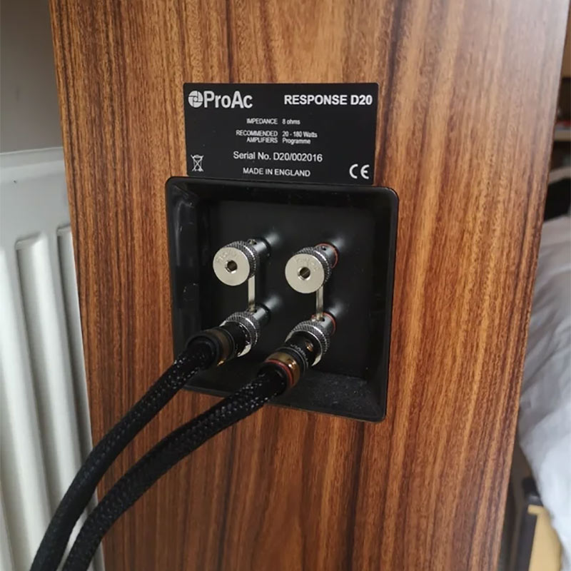 Loa đứng ProAc Response D20