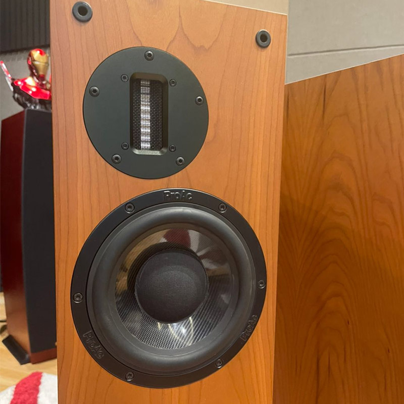 trình điều khiển âm trầm loa bass mới của Loa đứng ProAc Response D30S Loa đứng ProAc Response D30S