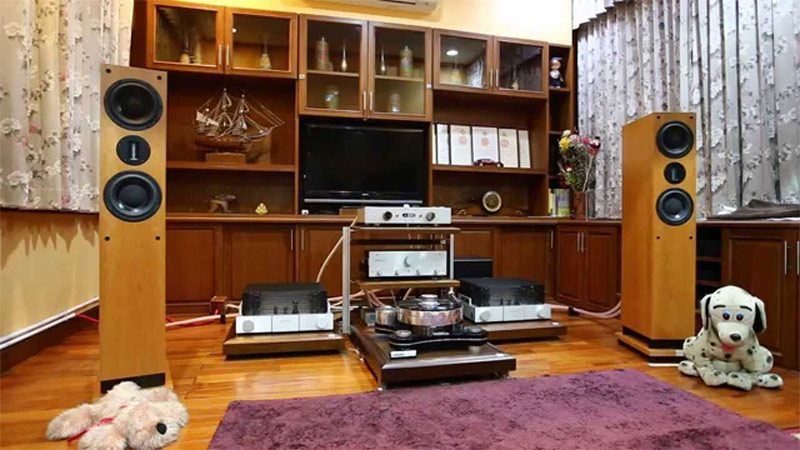 Loa ProAc Response D48