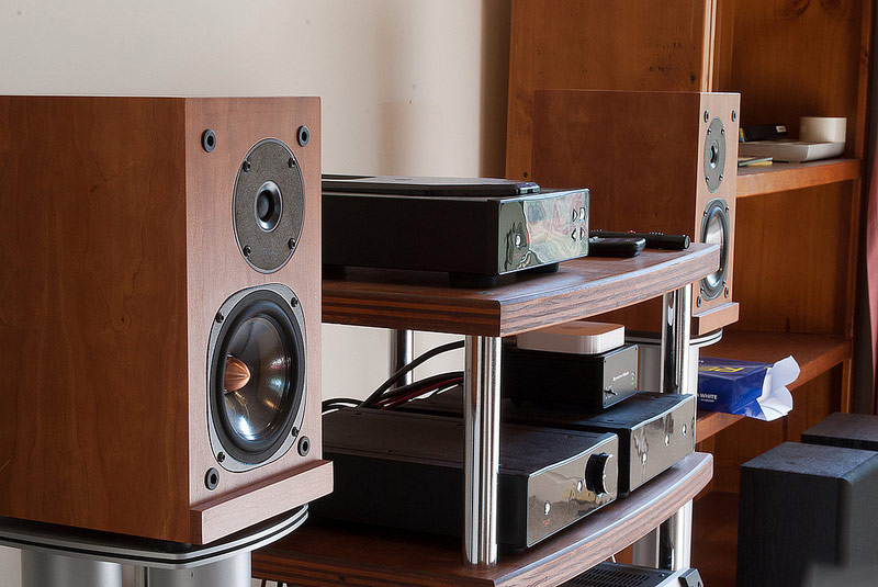 Loa bookshelf ProAC Response DB1