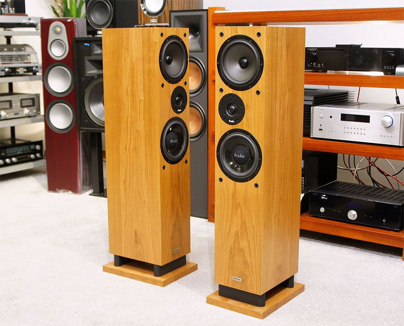 Loa ProAc Response DT8