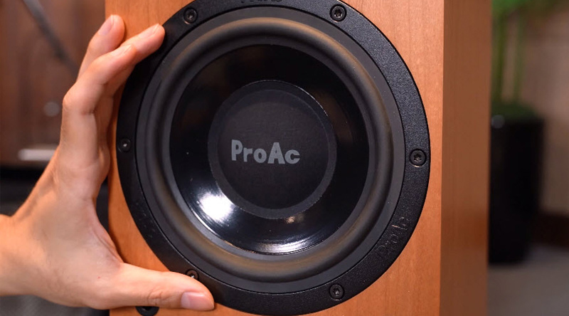 Loa ProAc Response DT8