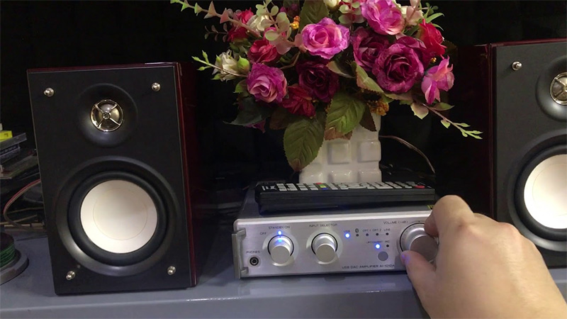 Loa bookshelf Teac LS-101HR